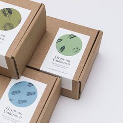 Label Packaging Jakarta Murah Terpercaya